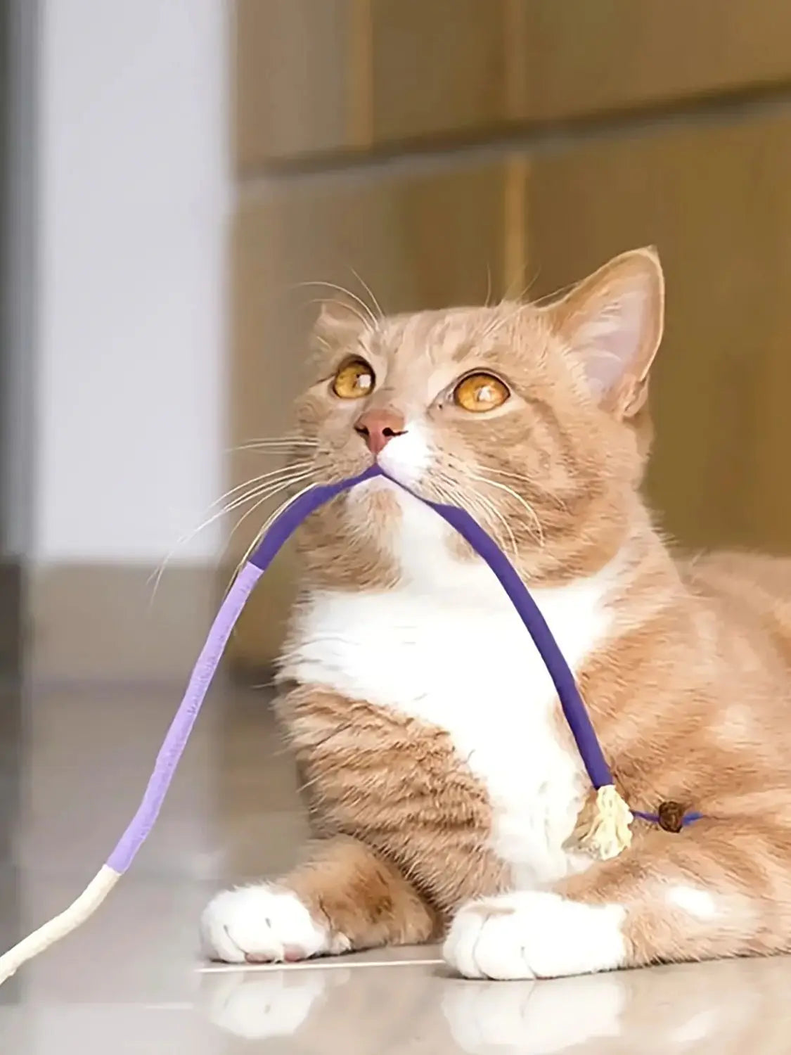 1PC Cat Bite Rope Toy Grinding Teeth Durable Teasing Cat Rope Toy